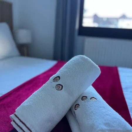 Appartamento Appartement Mont Blanc Renove 2026 Parking Et Terrasse *